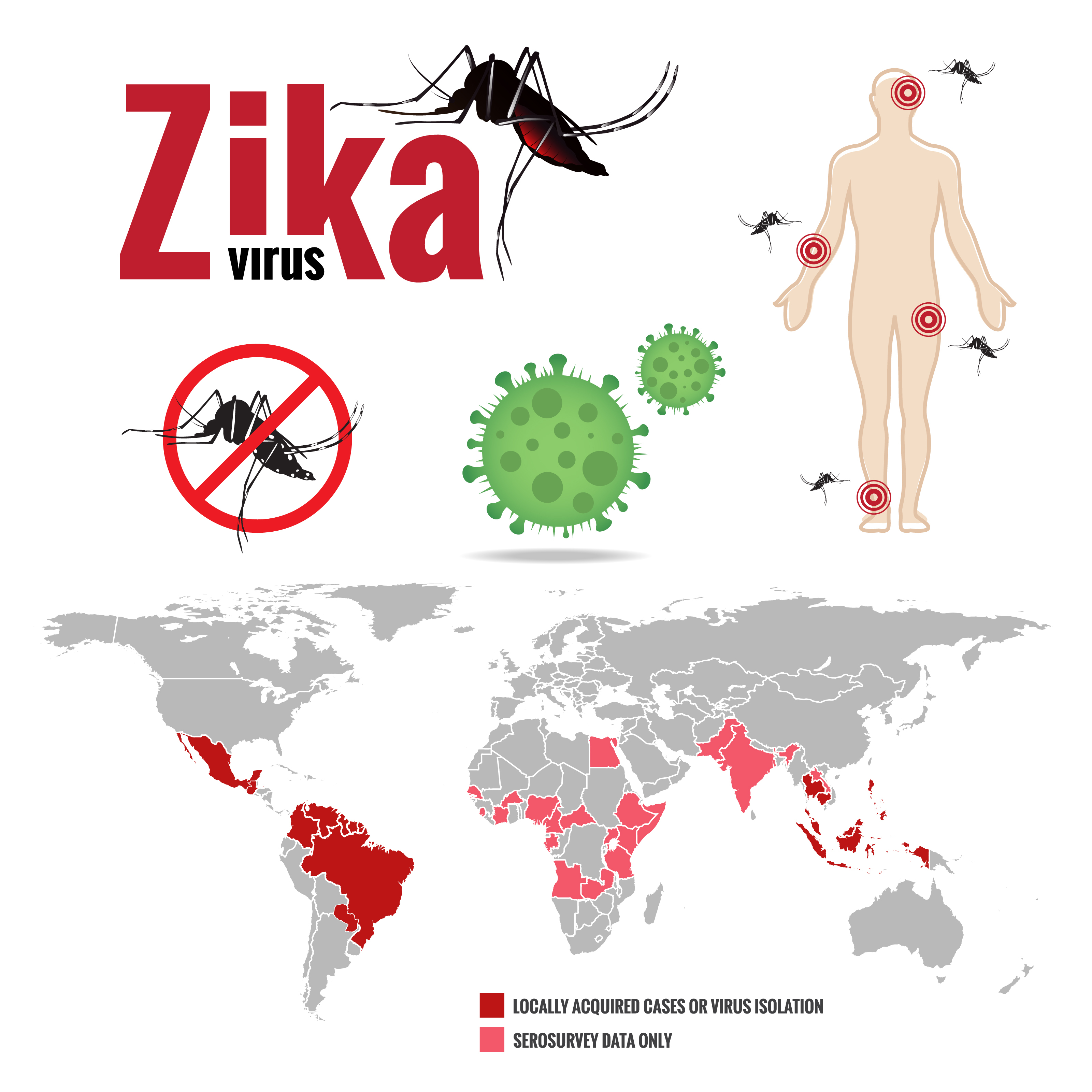 ZikaVirus