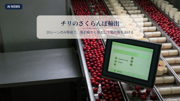 チリのさくらんぼ輸出。20レーンのAI等級で、傷を細かく落として箱の質を上げる